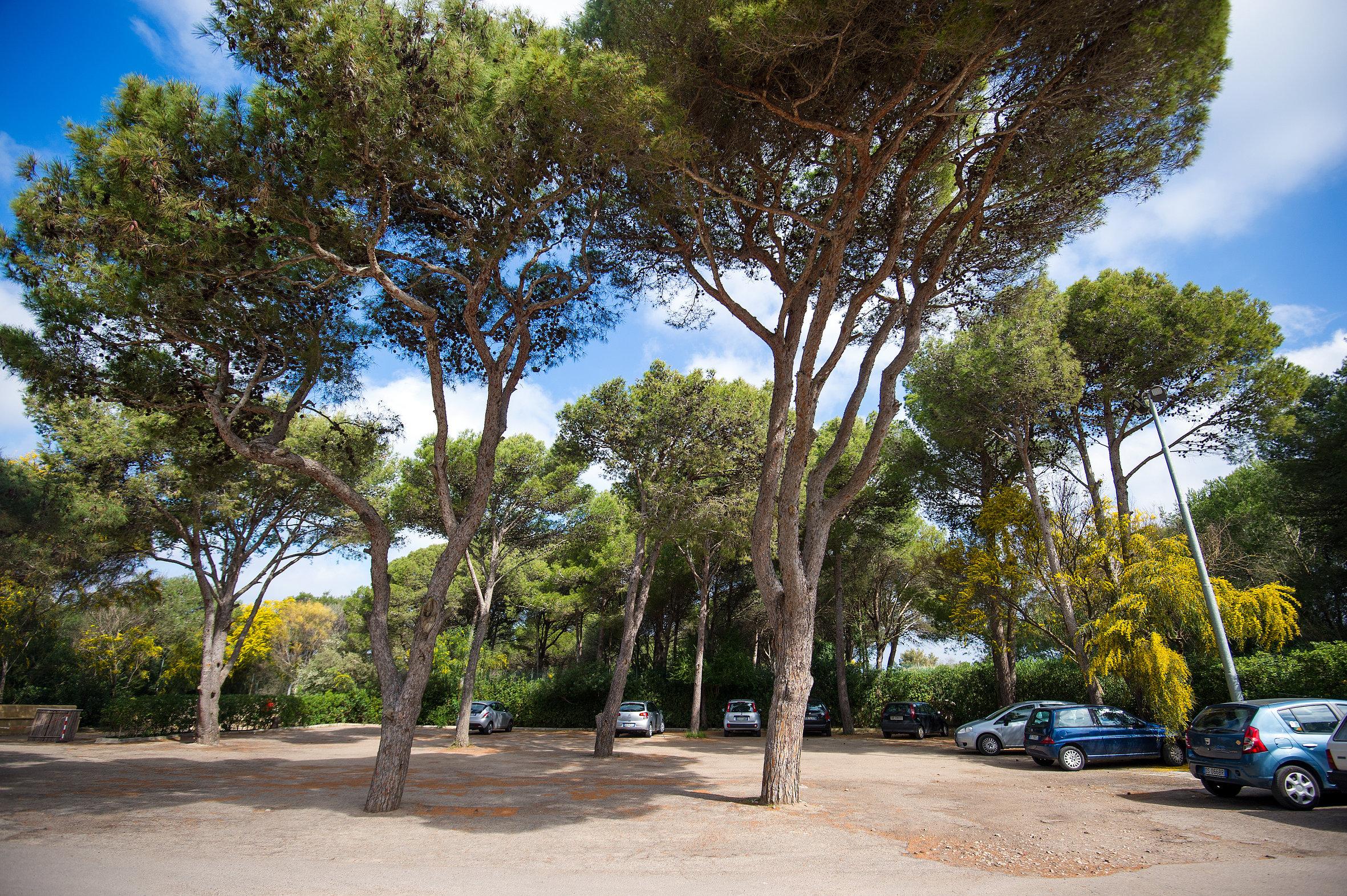 Ecoresort Le Sirene - Caroli Hotels Gallipoli Εξωτερικό φωτογραφία